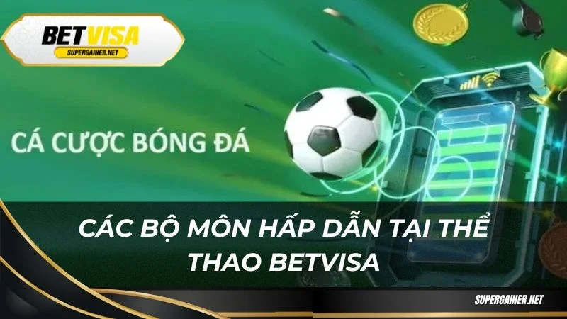 Các bộ môn hấp dẫn tại thể thao Betvisa