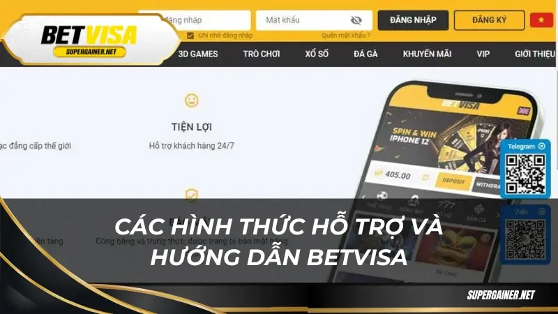 Các hình thức hỗ trợ và hướng dẫn Betvisa