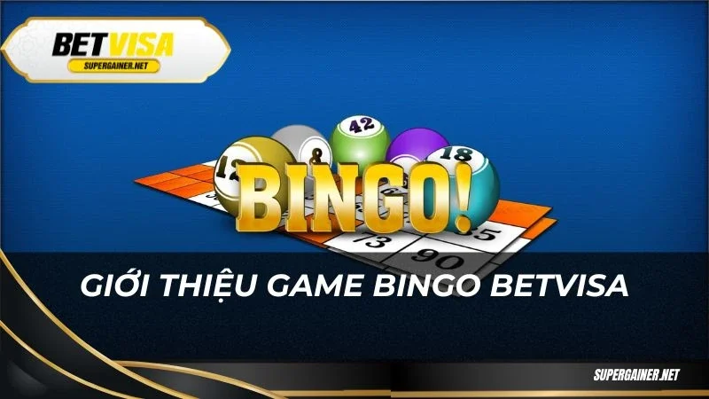 Giới thiệu game Bingo Betvisa