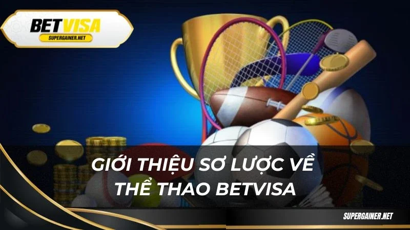 Giới thiệu sơ lược về thể thao Betvisa