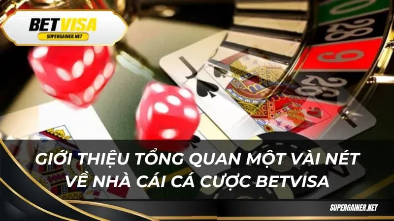 Giới thiệu tổng quan một vài nét về nhà cái cá cược Betvisa