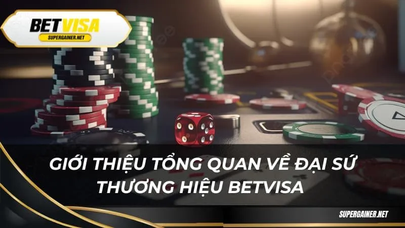 Giới thiệu tổng quan về đại sứ thương hiệu Betvisa